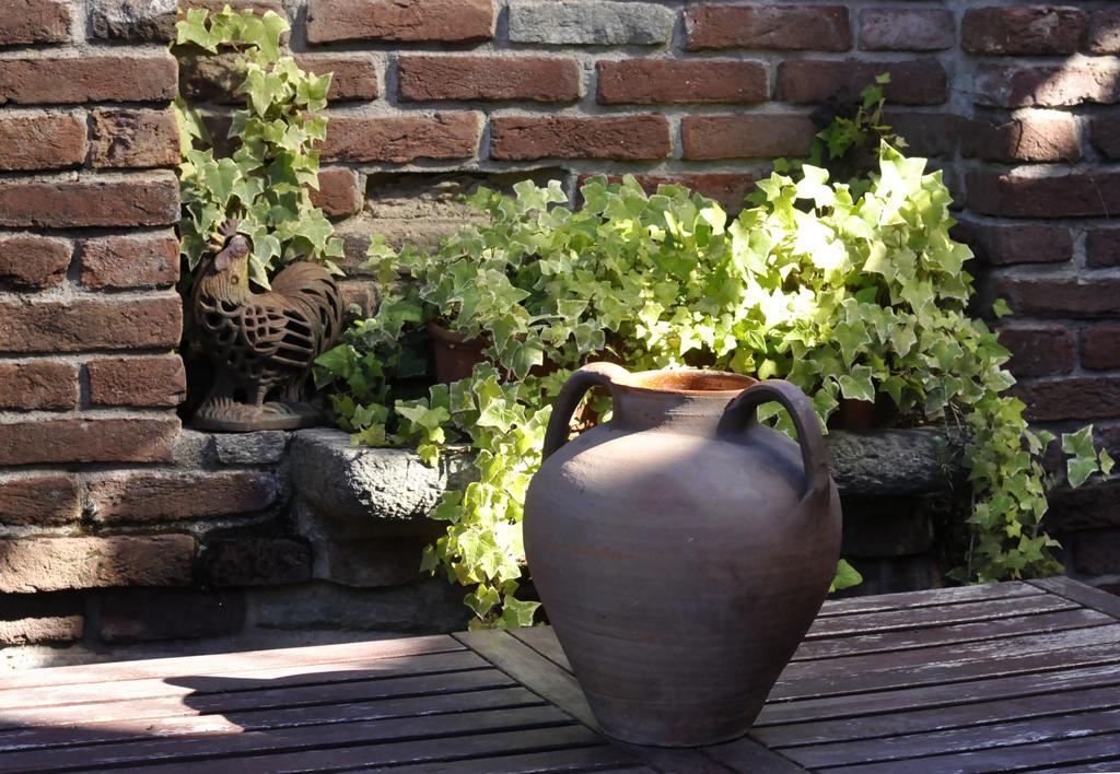 B&B Edera Castagnole Piemonte エクステリア 写真