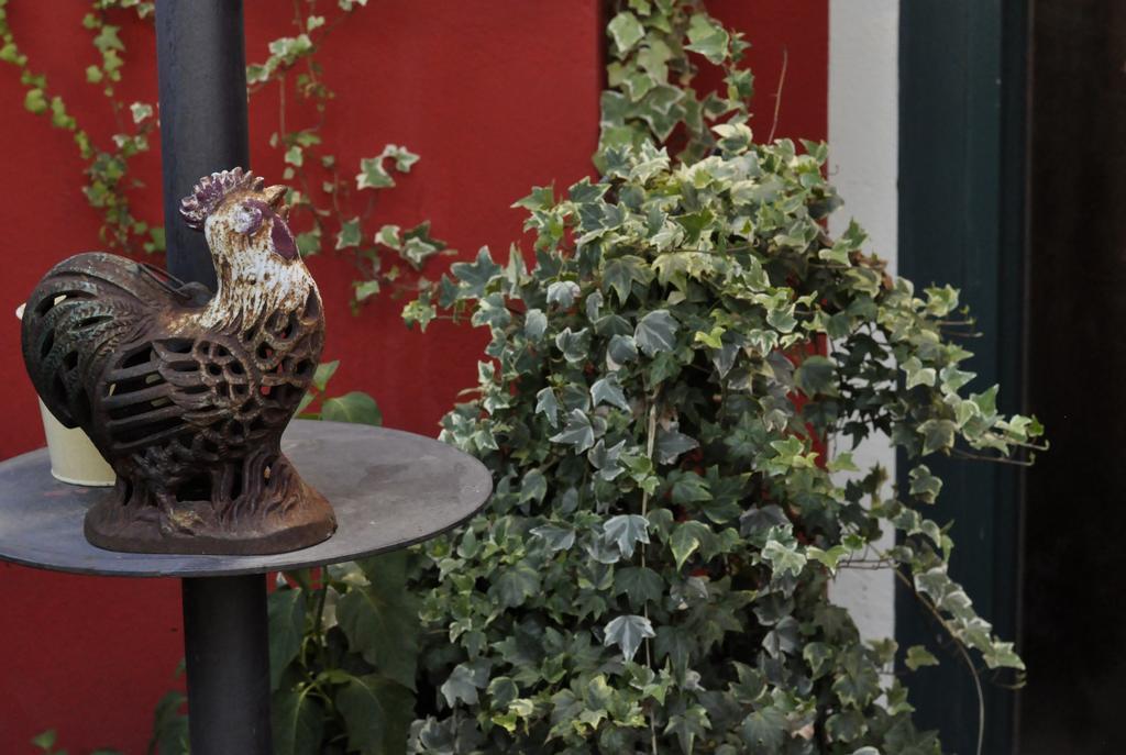 B&B Edera Castagnole Piemonte エクステリア 写真