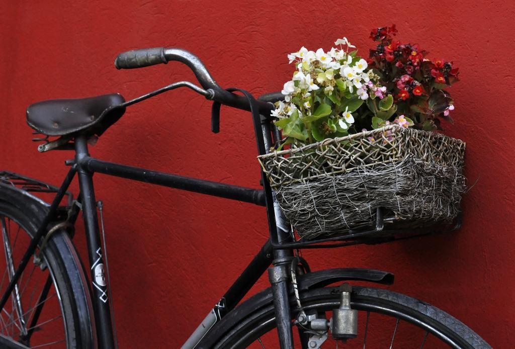 B&B Edera Castagnole Piemonte エクステリア 写真