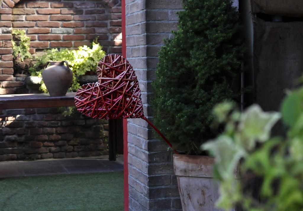 B&B Edera Castagnole Piemonte エクステリア 写真